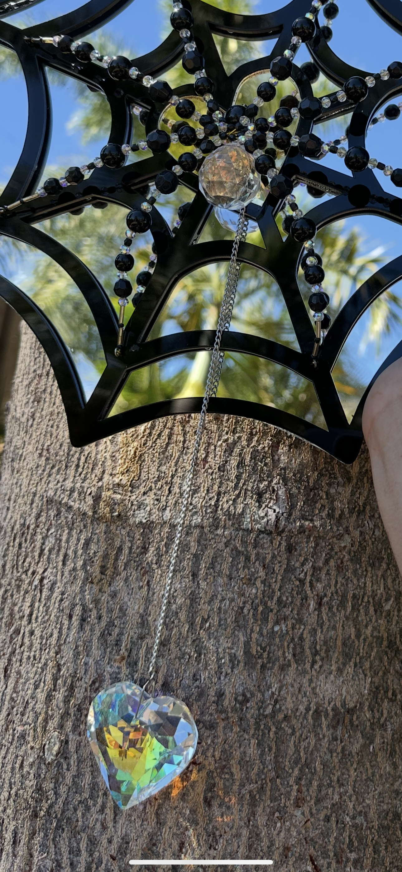 Whimsical Webs