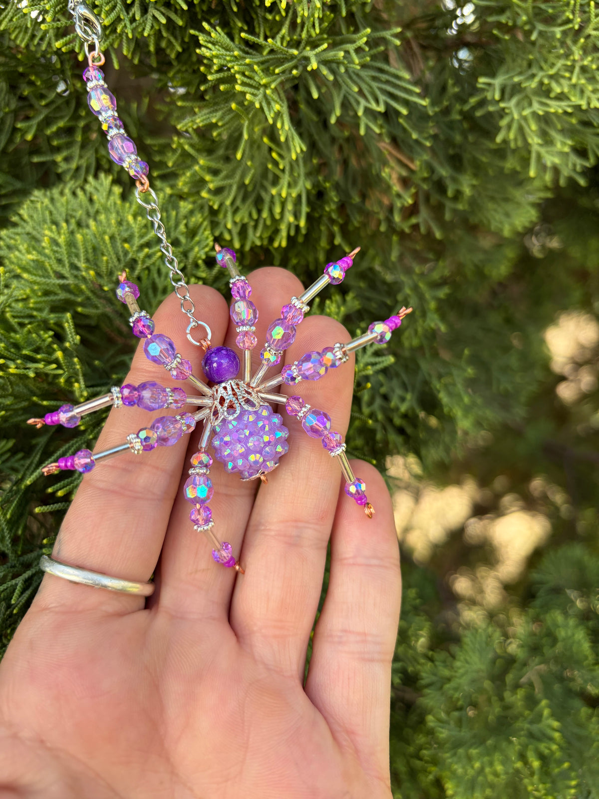 7cm Whimsical Webs Spiders