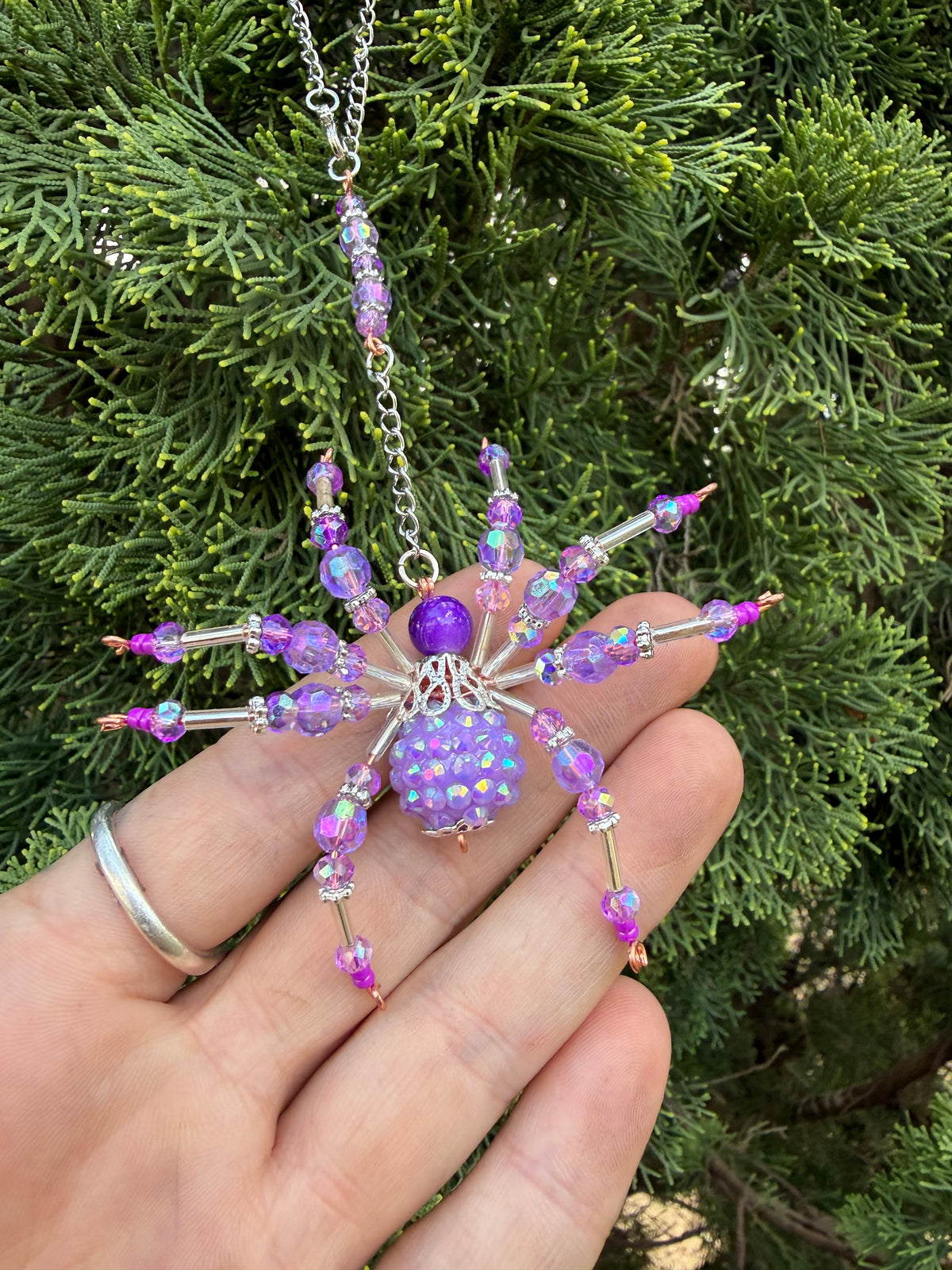 7cm Whimsical Webs Spiders